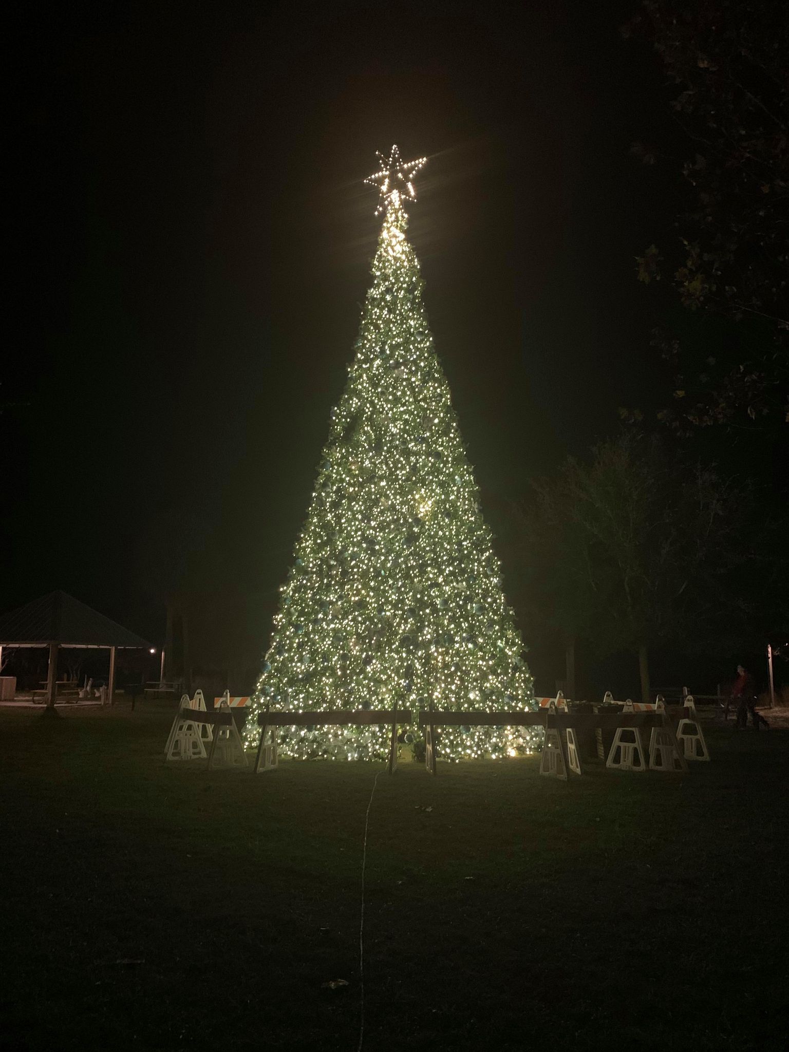 Christmas Tree Lighting – 11/23/2022 - 6:30PM