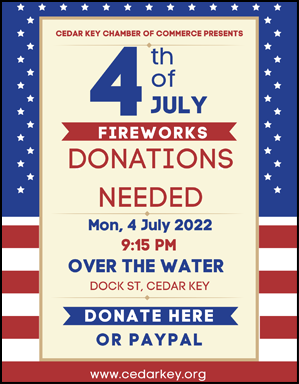 fireworks donation 2022