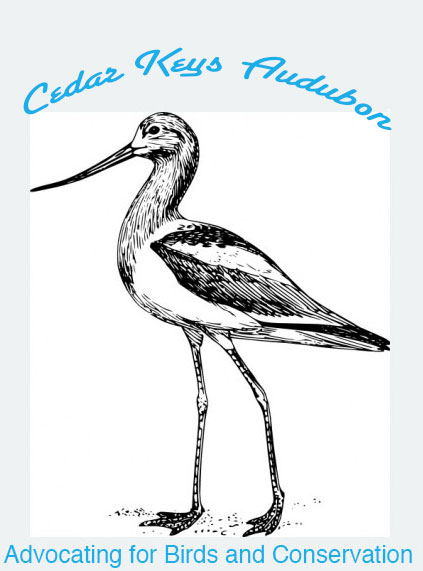Cedar Keys Audubon