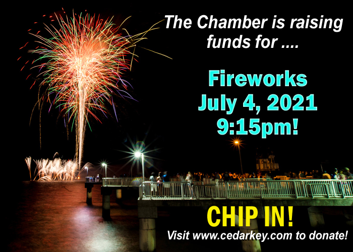 Help Fund the BEST Fireworks Show in Florida!