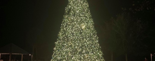 City Park – Christmas Tree Lighting – 7pm