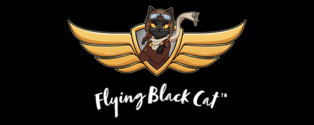 Flying Black Cat, LLC
