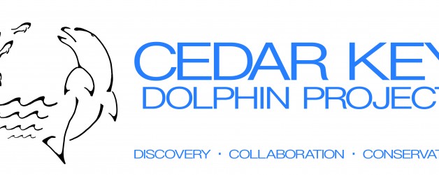 Cedar Key Dolphin Project Benefit Event at 83 North – Save the Date!