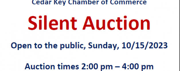 Silent Auction for the Chamber of Commerce
